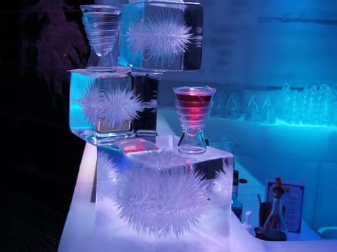Magic Ice Reykjavik experience, photo 5