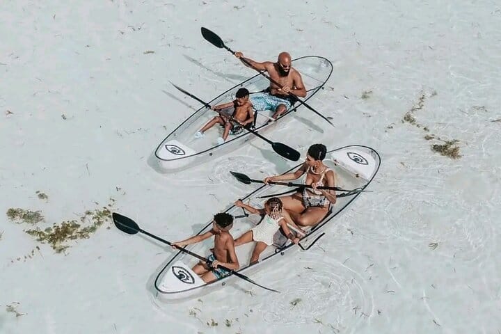 Swimming with Sea Turtles at Salaam Cave Aquarium in Kizimkazi