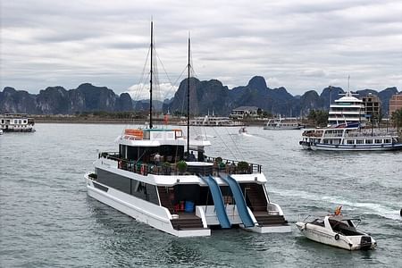 Luxury Catamaran Day Cruise in Halong Bay with Water Slide & Activities