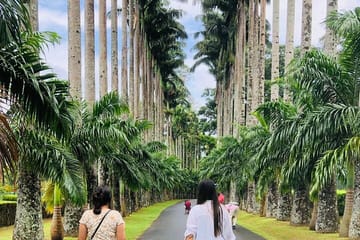 Kandy City Tour Experience from Kandy