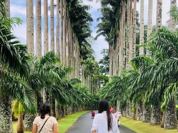 Kandy City and Peradeniya Gardens Cultural Tour