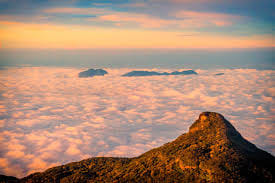 Adam's Peak Tour In a Day (24 Hrs) 4