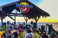 Blue Hole Mineral Spring and Rick's Cafe Sunset Tour 10