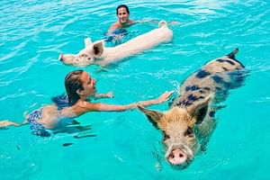 Ko Samui: Private Koh Madsum & Koh Tan by Longtail Boat Tour