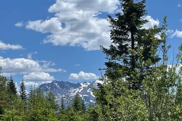 Small Group Tour from Portland to Mt. St. Helens