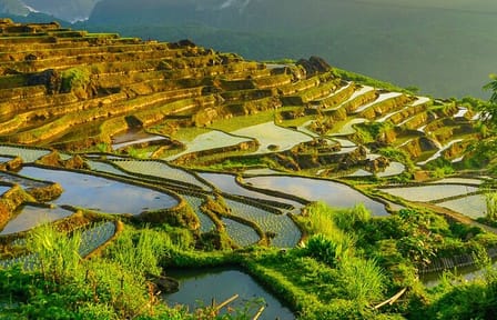 3 Day Tour Pu Luong Jungle Ride Motorbike From Hanoi