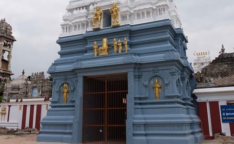Salt Factory Tour and Munneswaram Temple Visit from Negombo