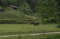 "BIKE 11" 1-Day road ride 90 km Samoeng Mountain Loop, Chiang mai 2