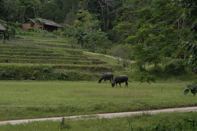 "BIKE 11" 1-Day road ride 90 km Samoeng Mountain Loop, Chiang mai photo 2