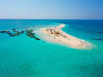 Seafood BBQ lunch on the sandbank