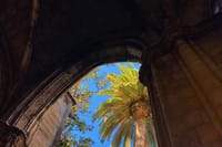 Gothic Quarter & Picasso Museum Private tour 10