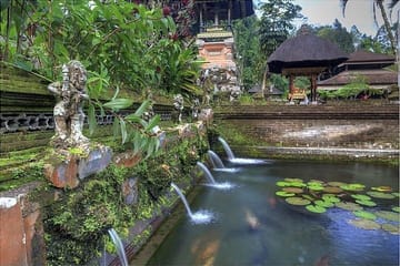 Ubud Cultural and Nature Tour in Sebatu and Tegalalang