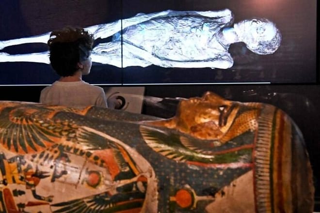 Egyptian Museums Private Tour from Cairo