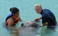 Manatee Encounter en Isla Mujeres 3