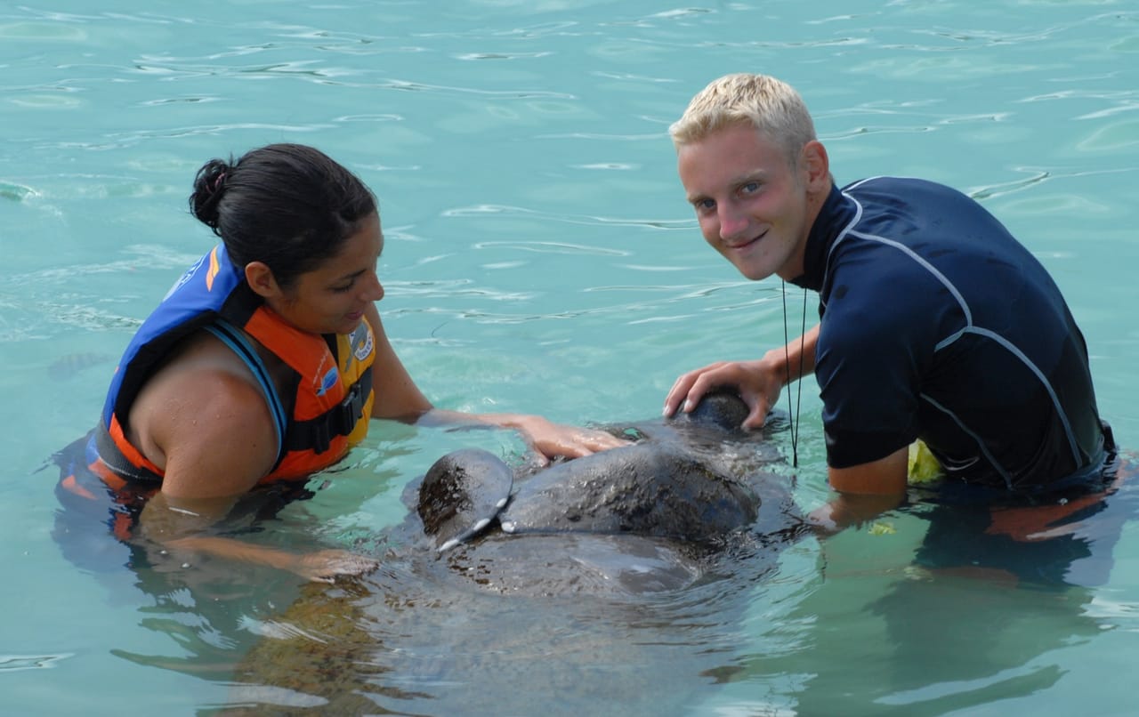 Manatee Encounter en Isla Mujeres 3