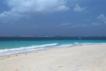 Prison Island and Nakupenda Beach Day Tour in Zanzibar