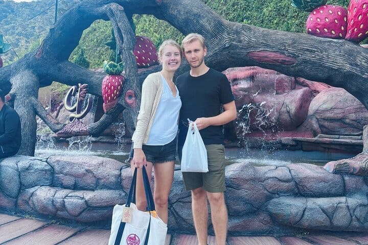 Cameron Highlands Day Tour from Ipoh with lavender garden and tea plantation