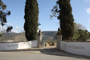 Douro Tour, Lunch at an Award-Winning Winery and Private Cruise