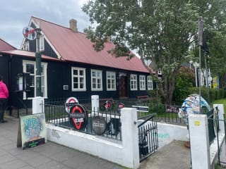 Private Icelandic Punk History Experience, photo 7