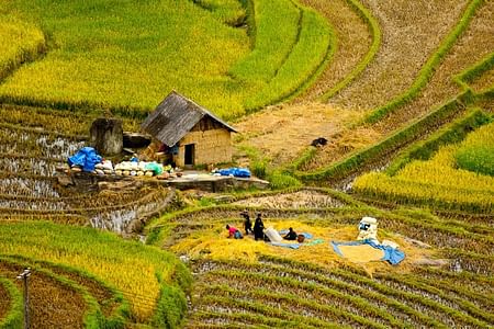 Sapa Easy trekking villages 2 days/ 1night trip: meals, tour guide, 3 star hotel