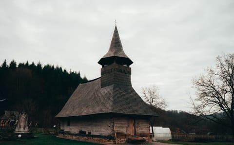 Immersive Transylvania Tour : Dracula’s Land & Carpathians