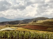 Private Day Tour to Red Land in Dongchuan from Kunming 6