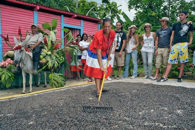 Bayahibe Discovery