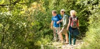 1 Day Vikos Gorge Crossing 10