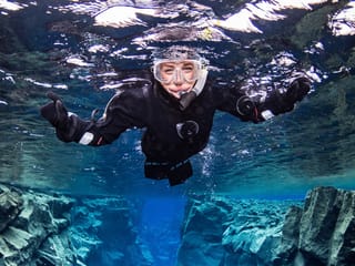 Reykjavík Whales & Snorkeling, photo 8