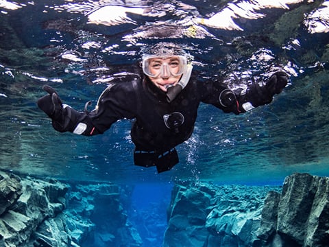 Reykjavík Whales & Snorkeling, photo 8