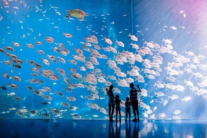 Zhuhai Chimelong Ocean Kingdom