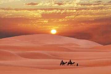 Abu Dhabi Morning Desert Safari with Sandboarding