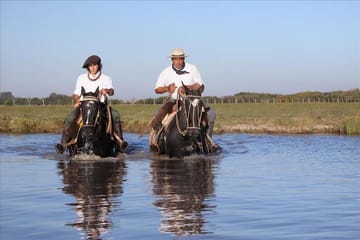 Authentic Farm Day in an Argentine Countryside Estancia