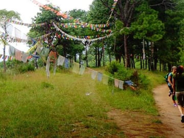 Hike for Health