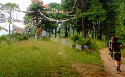 Private Full-Day Hiking Tour to Champadevi from Kathmandu