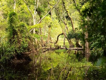 Full Day Trekking Cat Ba National Park, Viet Hai Village, biking