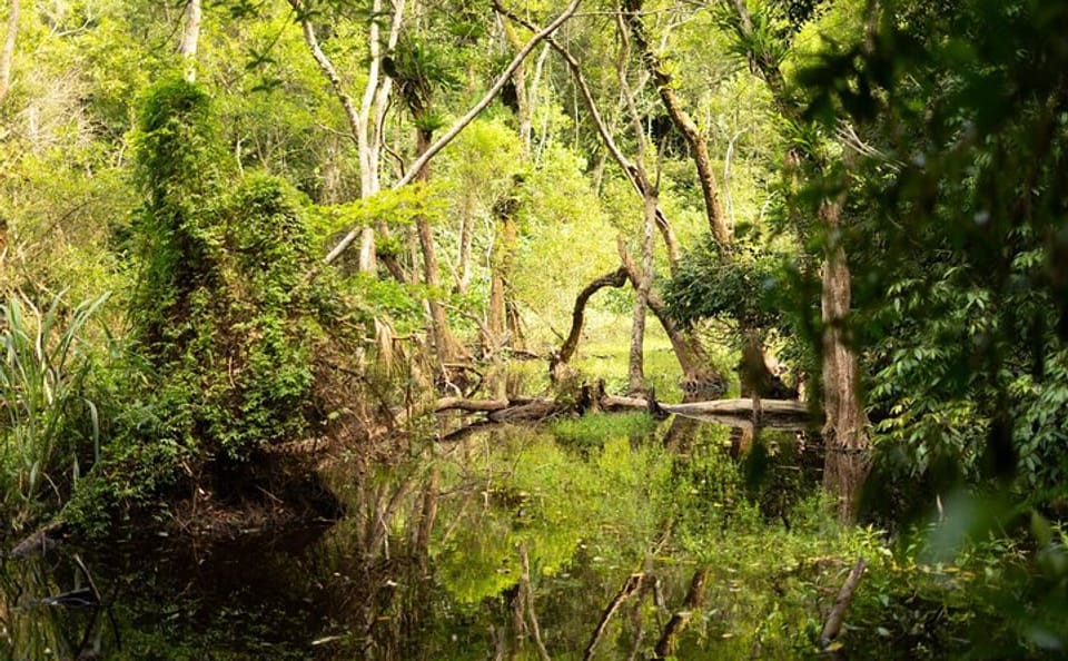 Full Day Trekking Cat Ba National Park, Viet Hai Village, biking