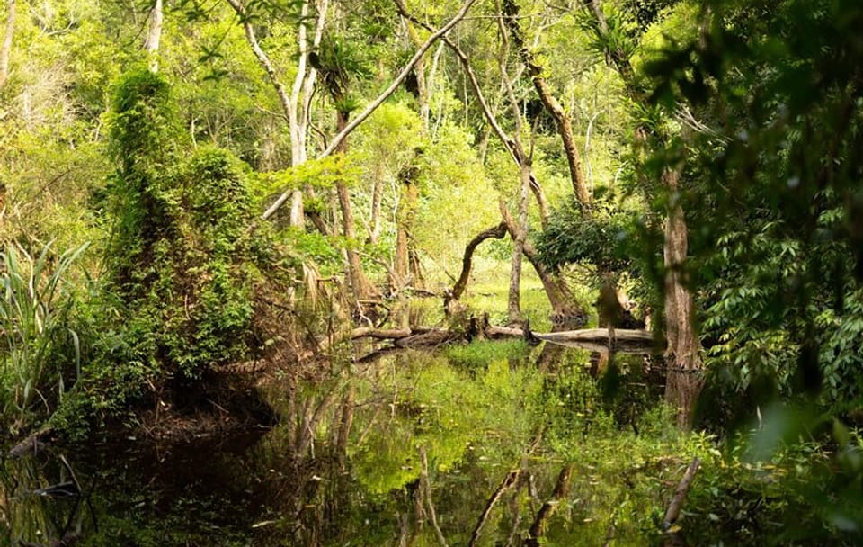 Full Day Trekking Cat Ba National Park, Viet Hai Village, biking