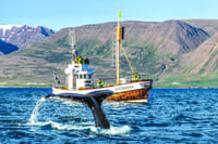 Fluke in front of Knörrinn