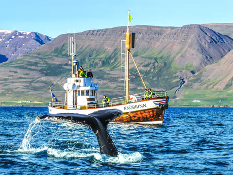 Fluke in front of Knörrinn