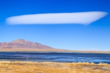 Full day Geyser del Tatio + Cejar Lagoon