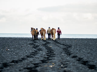 Mountain & Ocean Tour, photo 19