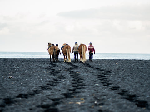 Mountain & Ocean Tour, photo 19