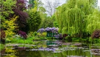 Private Full Day Tour of Giverny and Rouen from Le Havre - Shore Excursions 4