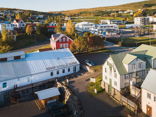 Húsavík Whale Museum Ticket, photo 14