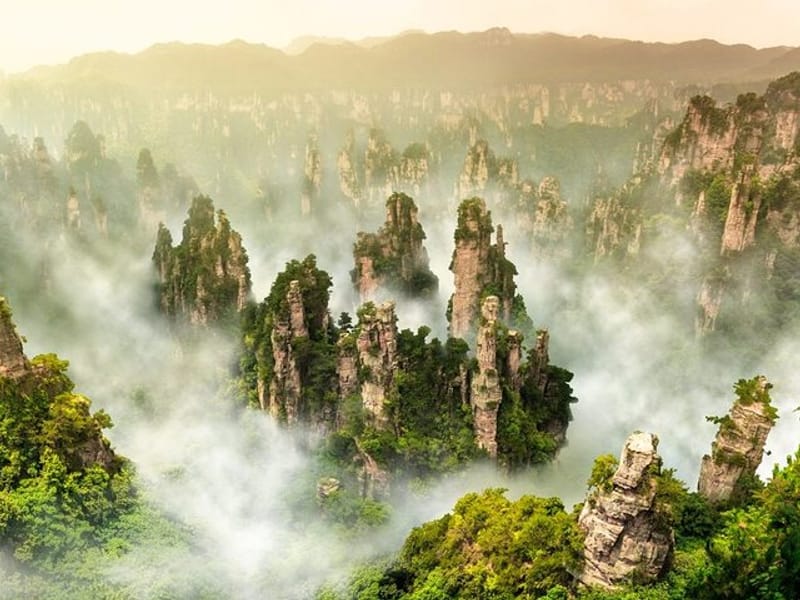 Full-Day Zhangjiajie National Forest Park Tour