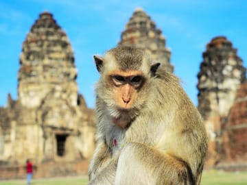 Bangkok Basics, City Break, Small Group Tour