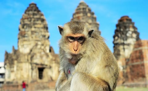Private 4-Day Cultural and Nature Tour of North Isaan