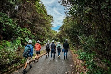 Poás Volcano and Coffee Tour with Tasting and La Paz Falls