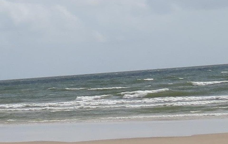 Explore Marajó Island: 2-Day Cultural and Nature Tour
